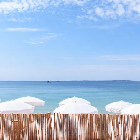 Les Pins Avec Terrasse *